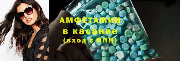 шишки Осташков