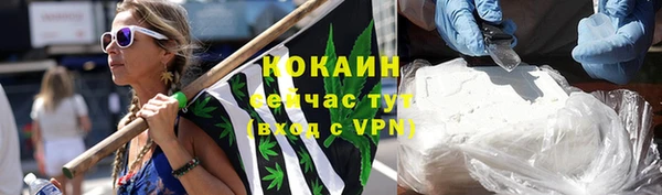 шишки Осташков
