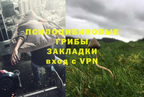 шишки Осташков