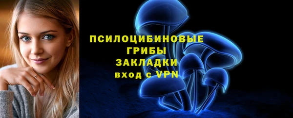 шишки Осташков