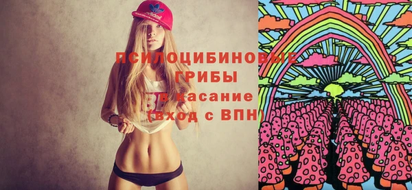 шишки Осташков