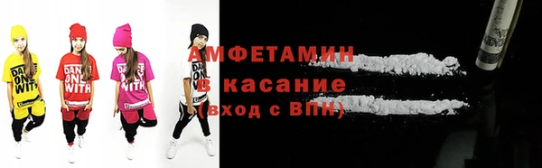 индика Пестово
