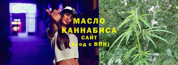 шишки Осташков