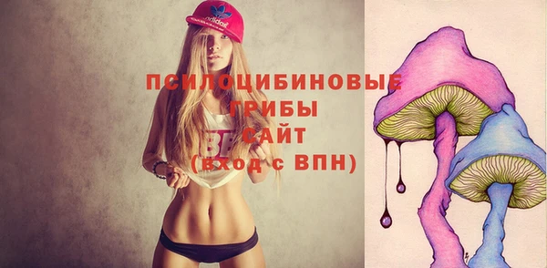 шишки Осташков